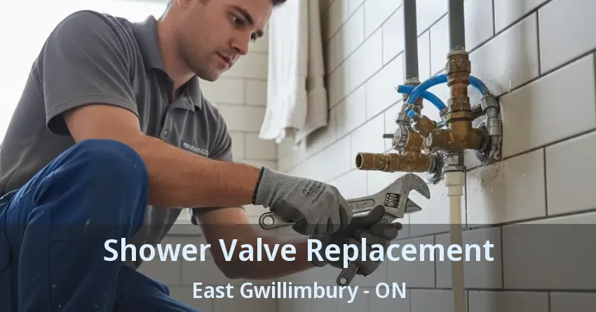 Shower Valve Replacement East Gwillimbury - ON