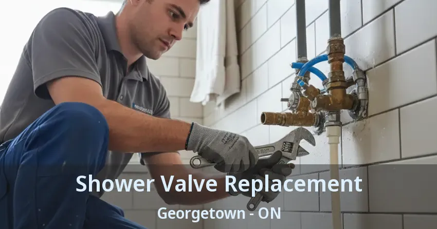 Shower Valve Replacement Georgetown - ON