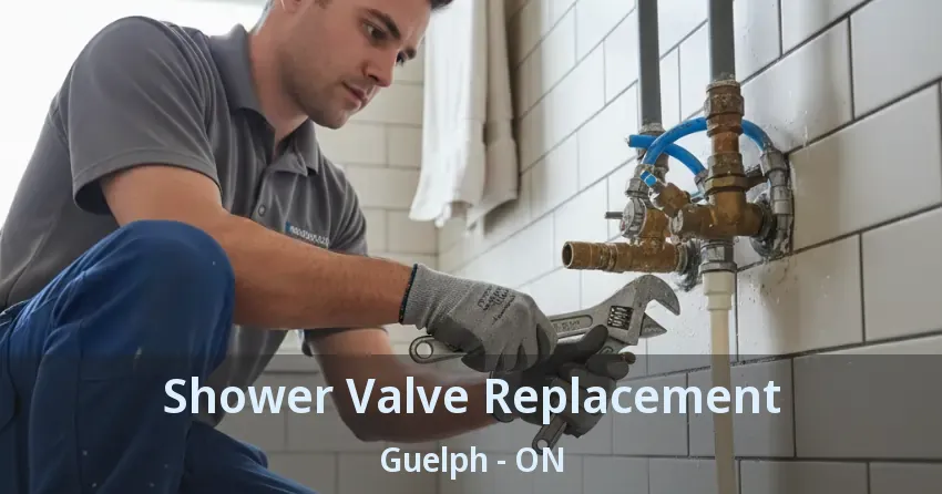 Shower Valve Replacement Guelph - ON