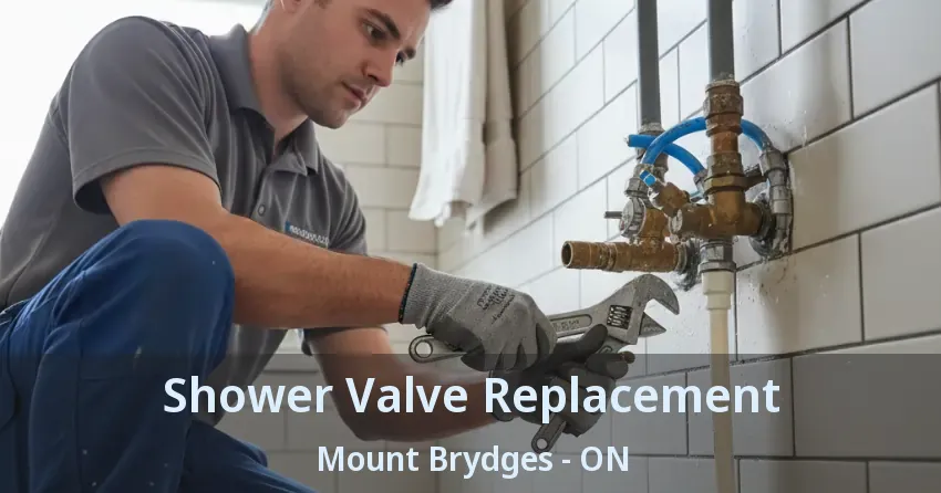 Shower Valve Replacement Mount Brydges - ON