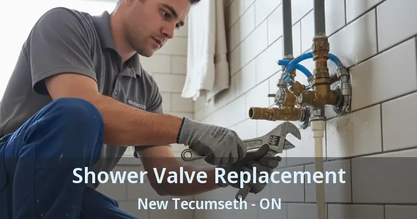 Shower Valve Replacement New Tecumseth - ON