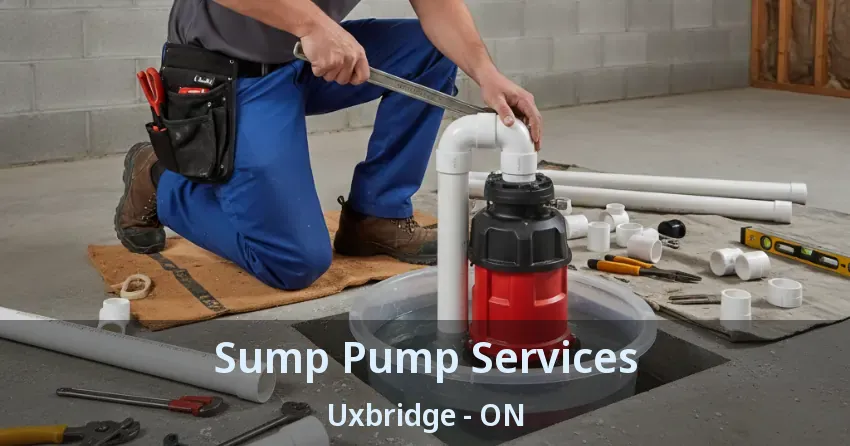 Sump Pump Services Uxbridge - ON