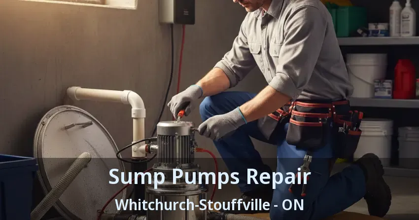 Sump Pumps Repair Whitchurch-Stouffville - ON