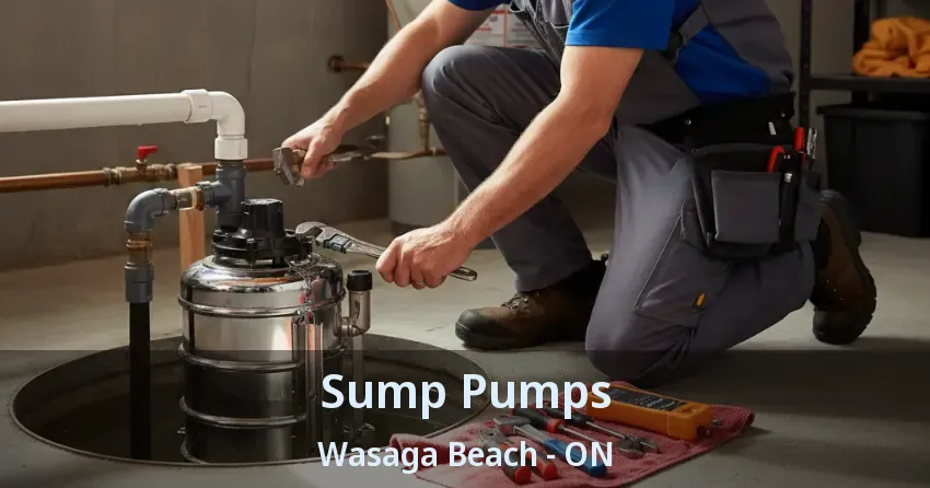 Sump Pumps Wasaga Beach - ON