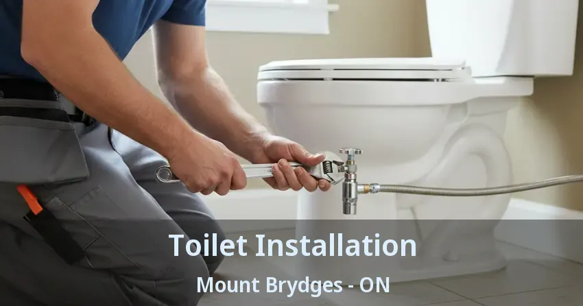 Toilet Installation Mount Brydges - ON