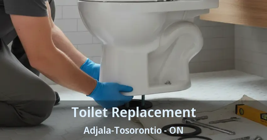 Toilet Replacement Adjala-Tosorontio - ON