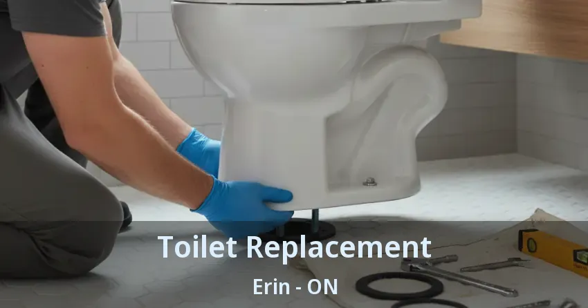 Toilet Replacement Erin - ON