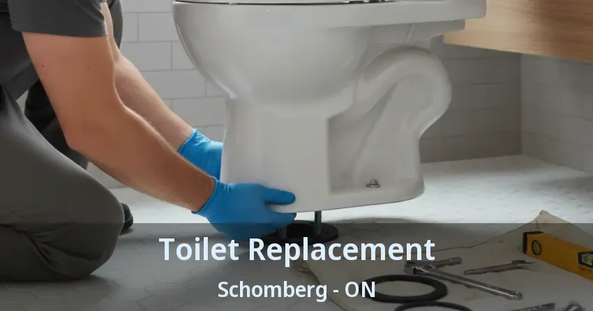 Toilet Replacement Schomberg - ON
