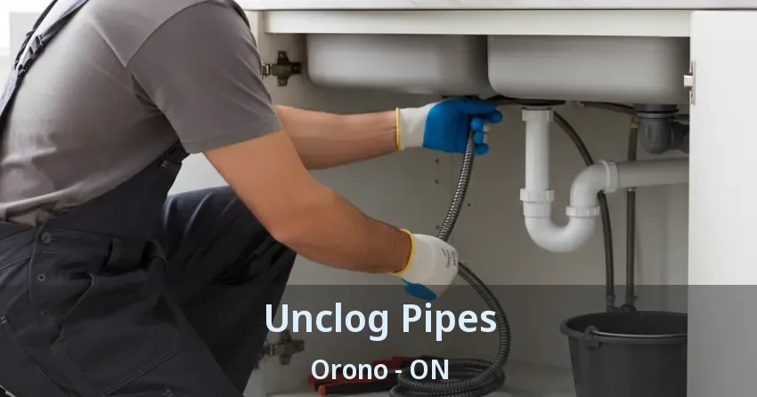 Unclog Pipes Orono - ON