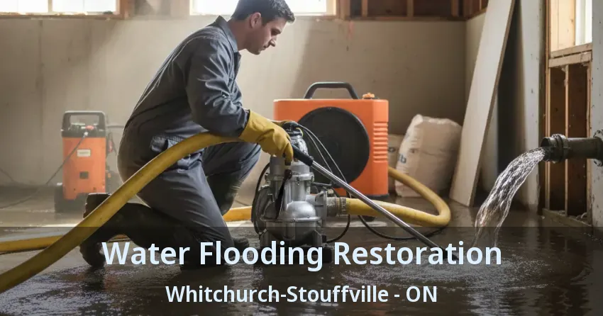 Water Flooding Restoration Whitchurch-Stouffville - ON