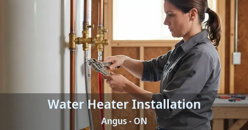Water Heater Installation Angus - ON