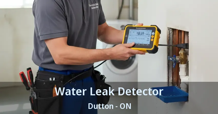 Water Leak Detector Dutton - ON