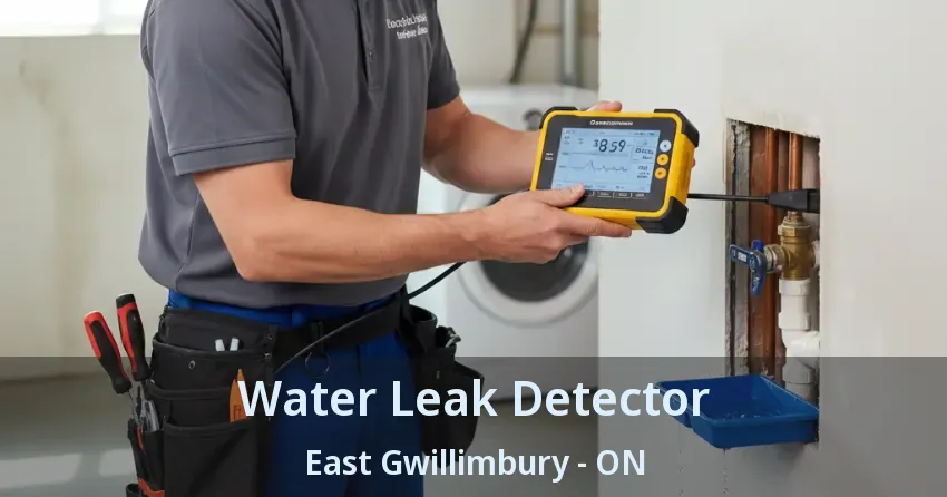 Water Leak Detector East Gwillimbury - ON