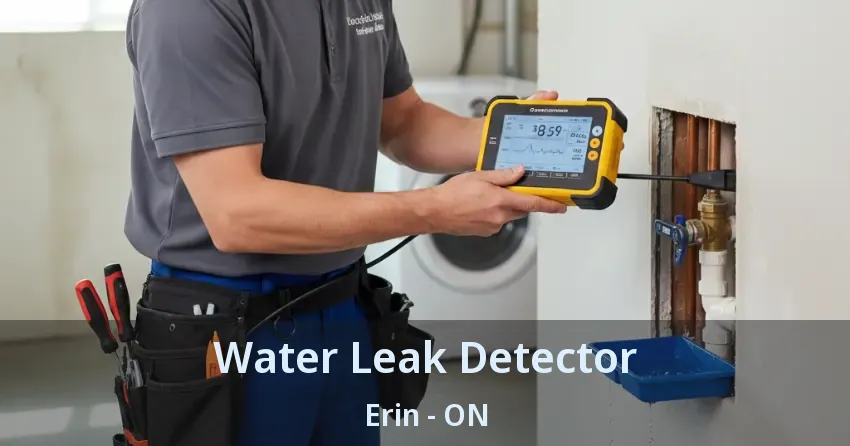 Water Leak Detector Erin - ON