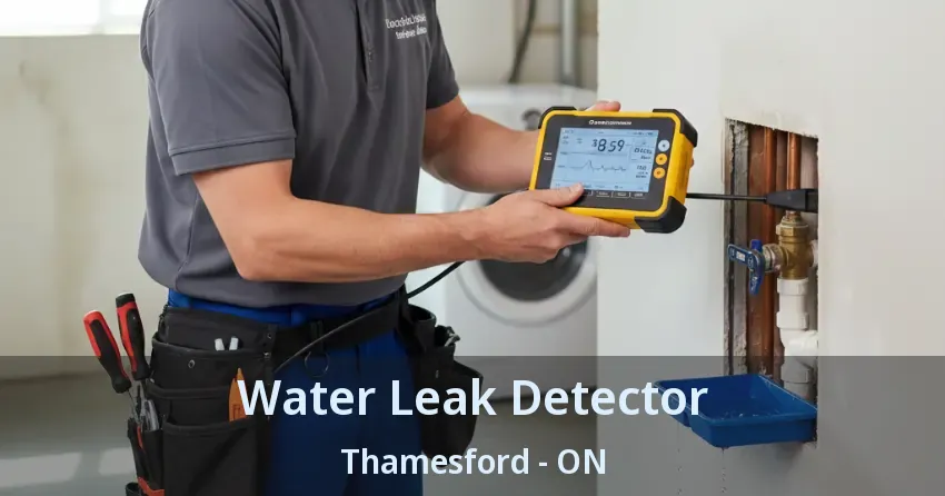 Water Leak Detector Thamesford - ON