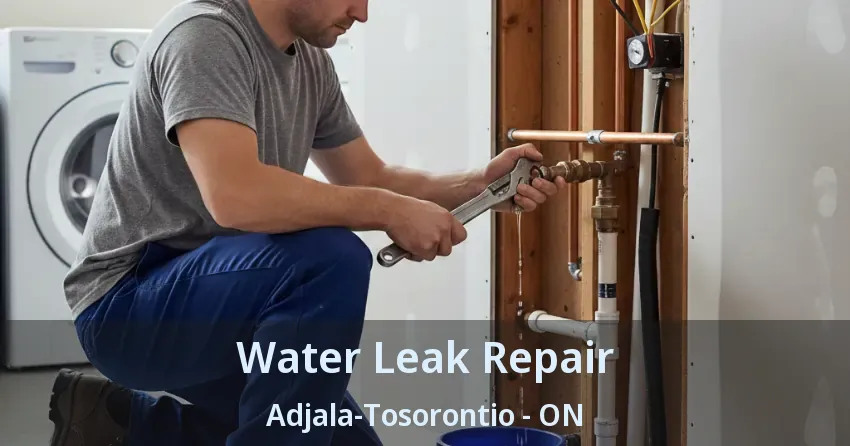 Water Leak Repair Adjala-Tosorontio - ON