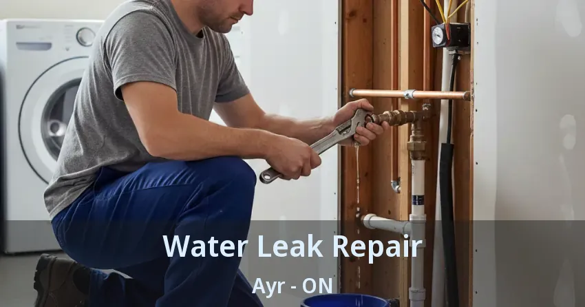 Water Leak Repair Ayr - ON
