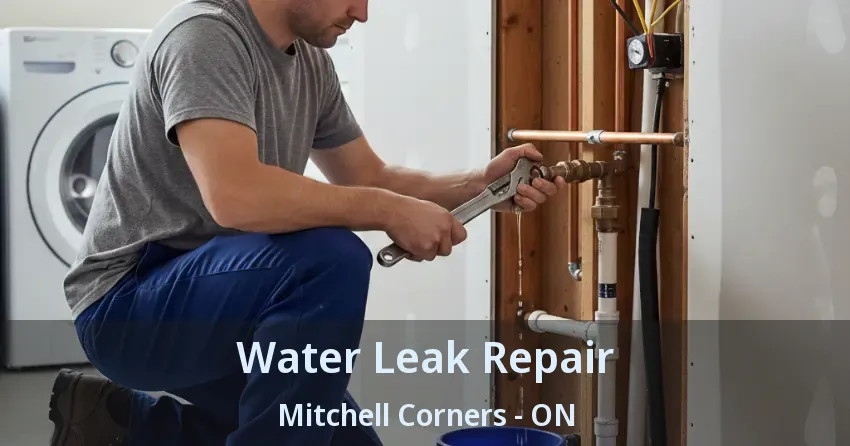 Water Leak Repair Mitchell Corners - ON