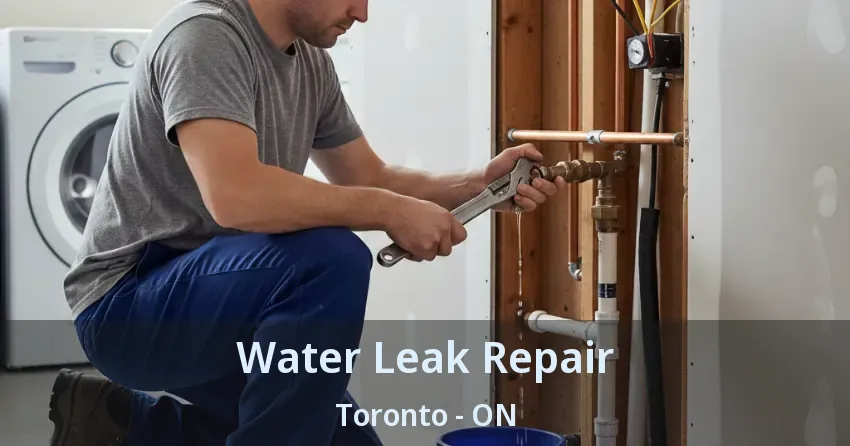 Water Leak Repair Toronto - ON