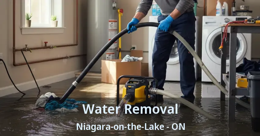Water Removal Niagara-on-the-Lake - ON