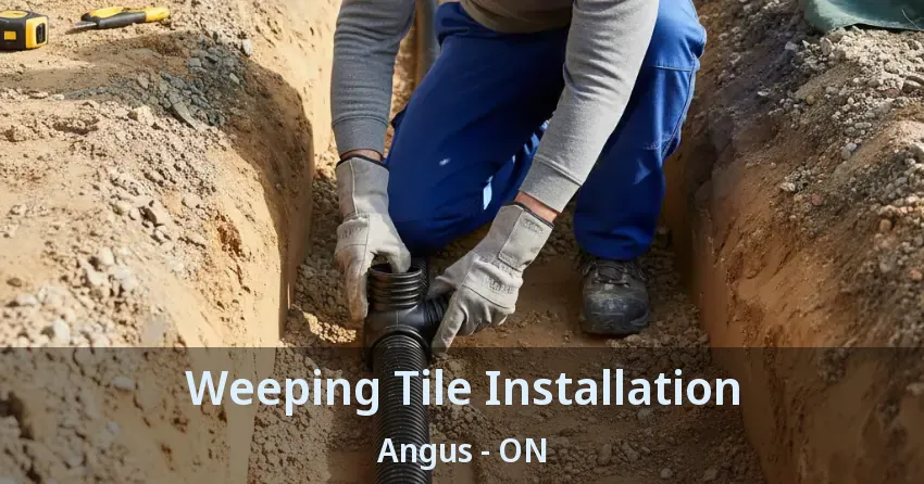 Weeping Tile Installation Angus - ON