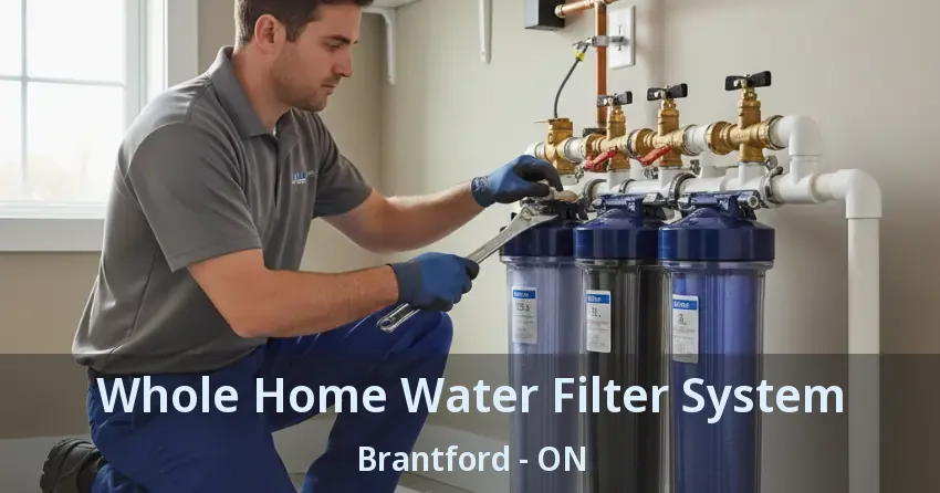 Whole Home Water Filter System Brantford - ON