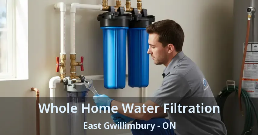 Whole Home Water Filtration East Gwillimbury - ON