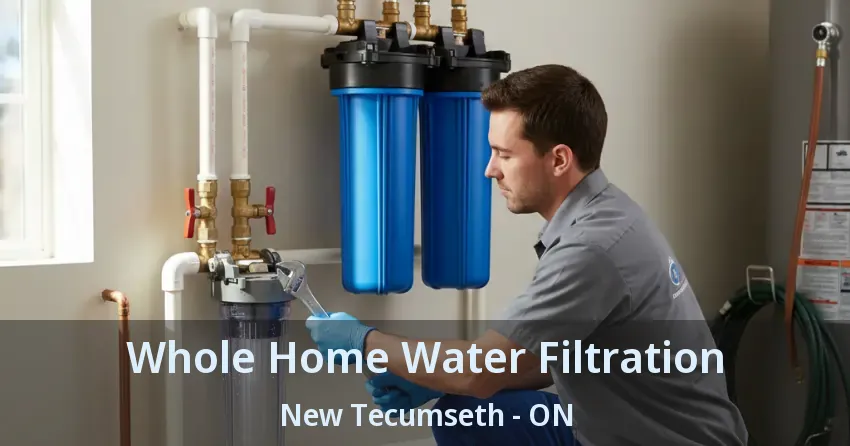 Whole Home Water Filtration New Tecumseth - ON