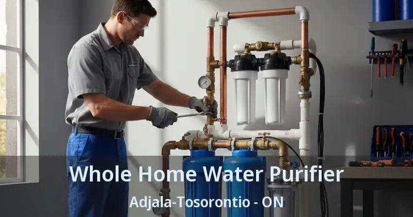 Whole Home Water Purifier Adjala-Tosorontio - ON