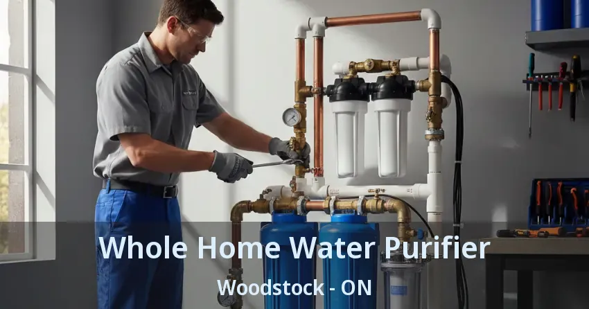 Whole Home Water Purifier Woodstock - ON