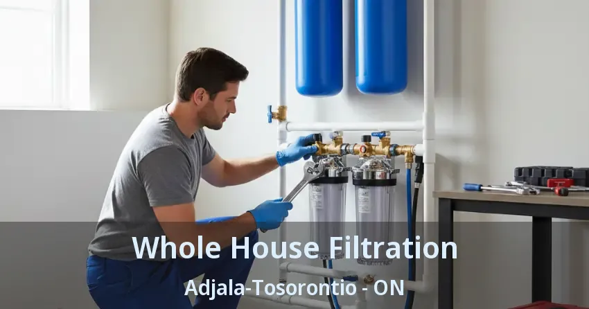 Whole House Filtration Adjala-Tosorontio - ON